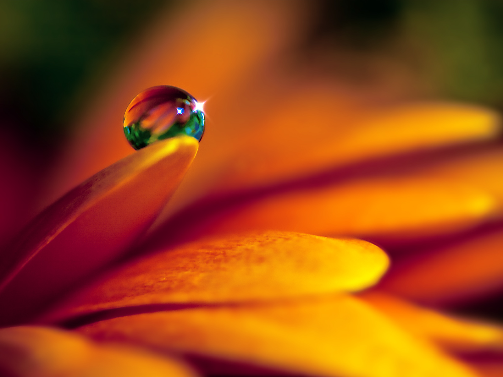 Drops 007